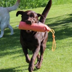 Meet your Posher, Jo ann